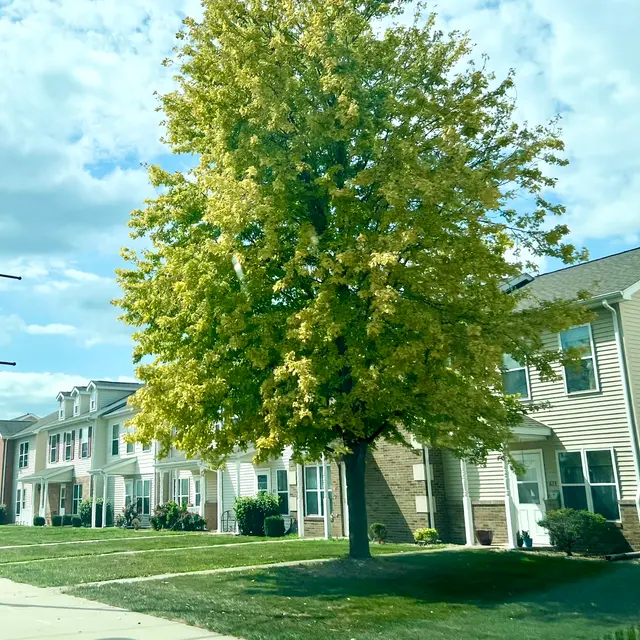 Downtown Commons Bedrock Property Management