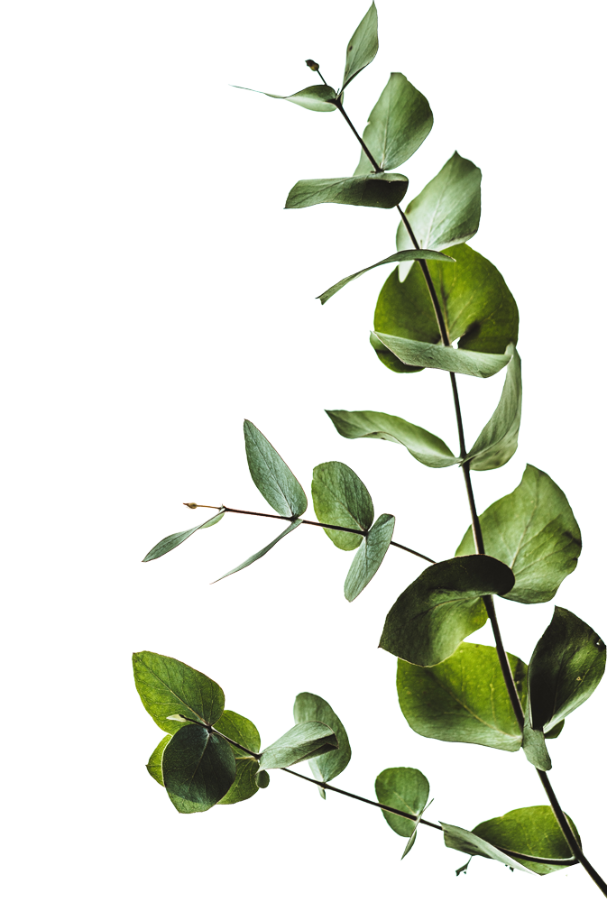 Home Cypress Trail Apartments