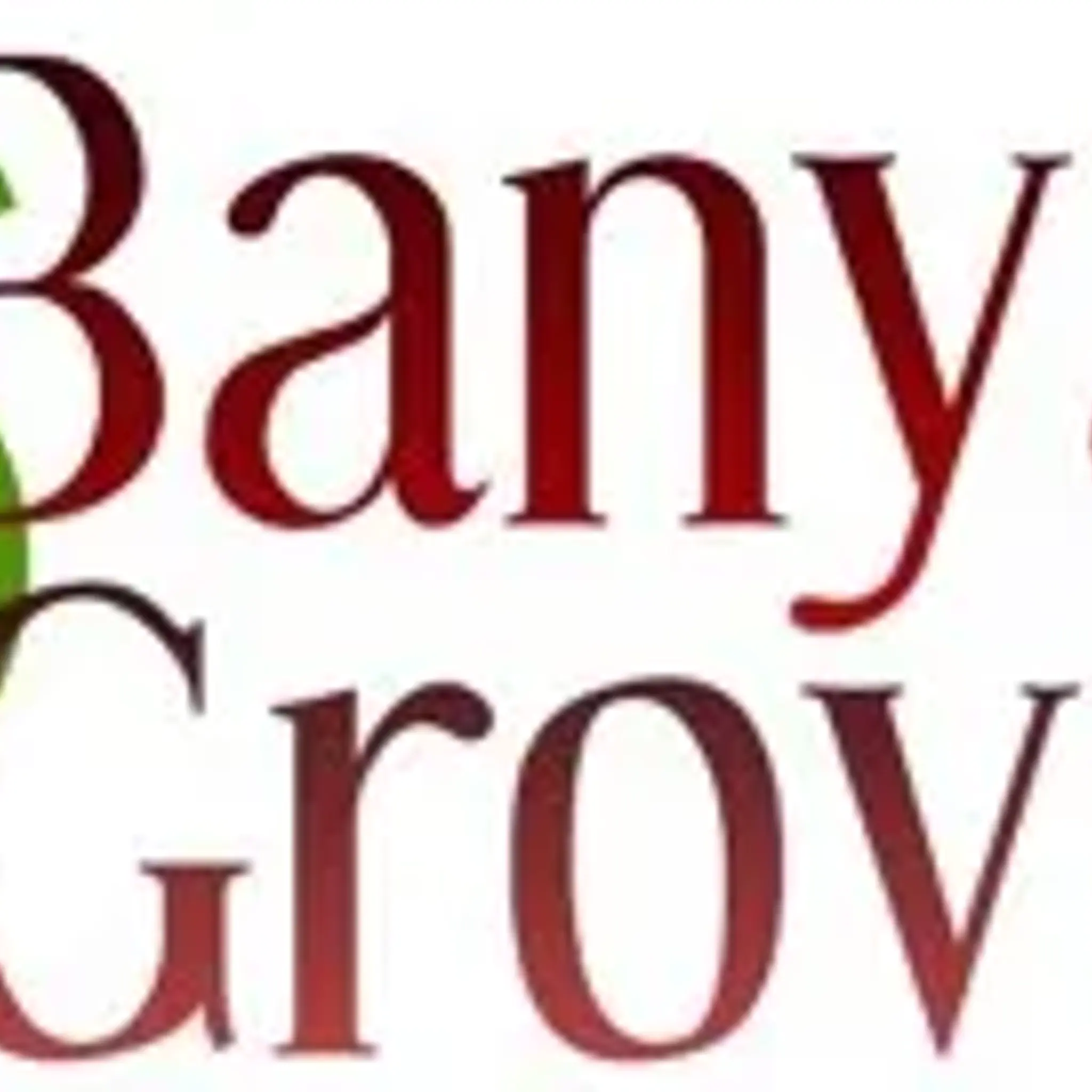 banyan-grove