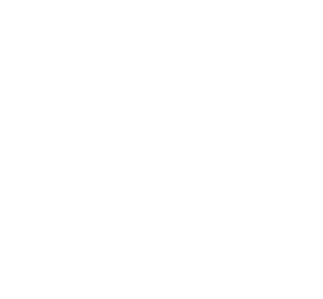 Madison Development Properties